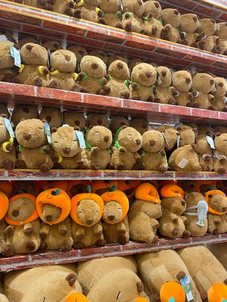 mua gấu bông ở đâu rẻ