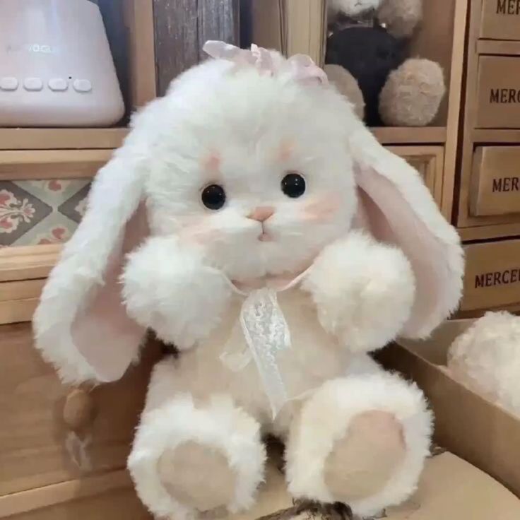 bán gấu bông giá rẻ