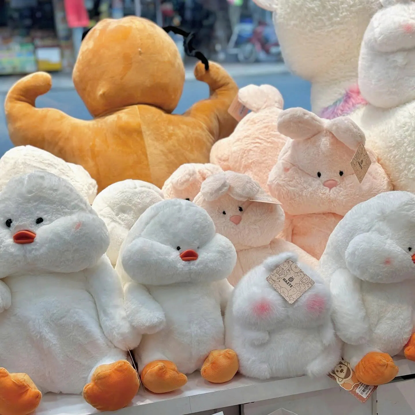 shop gấu bông