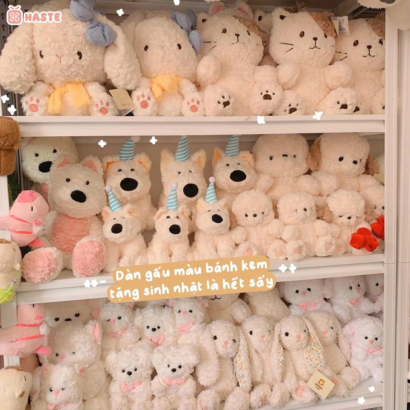 shop gấu bông