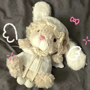 gấu bông thỏ cute