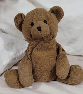 Tặng gấu teddy lãng mạn cho người yêu vào các dịp lễ đặc biệt